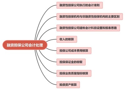 非融資性擔保業務在融資擔保公司的會計賬務處理探析
