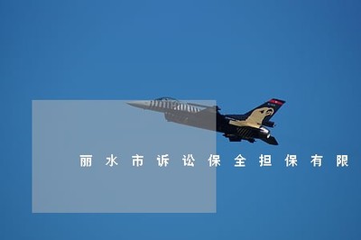 麗水市訴訟保全擔保 非融資性擔保業務的實踐與重要性